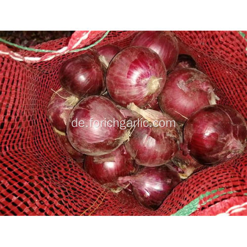 Gesunde frische rote Zwiebel